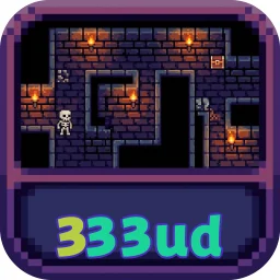 333ud
