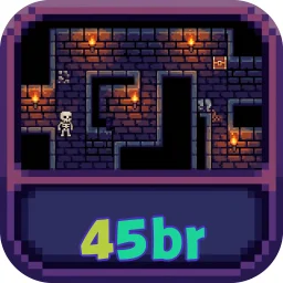 45br